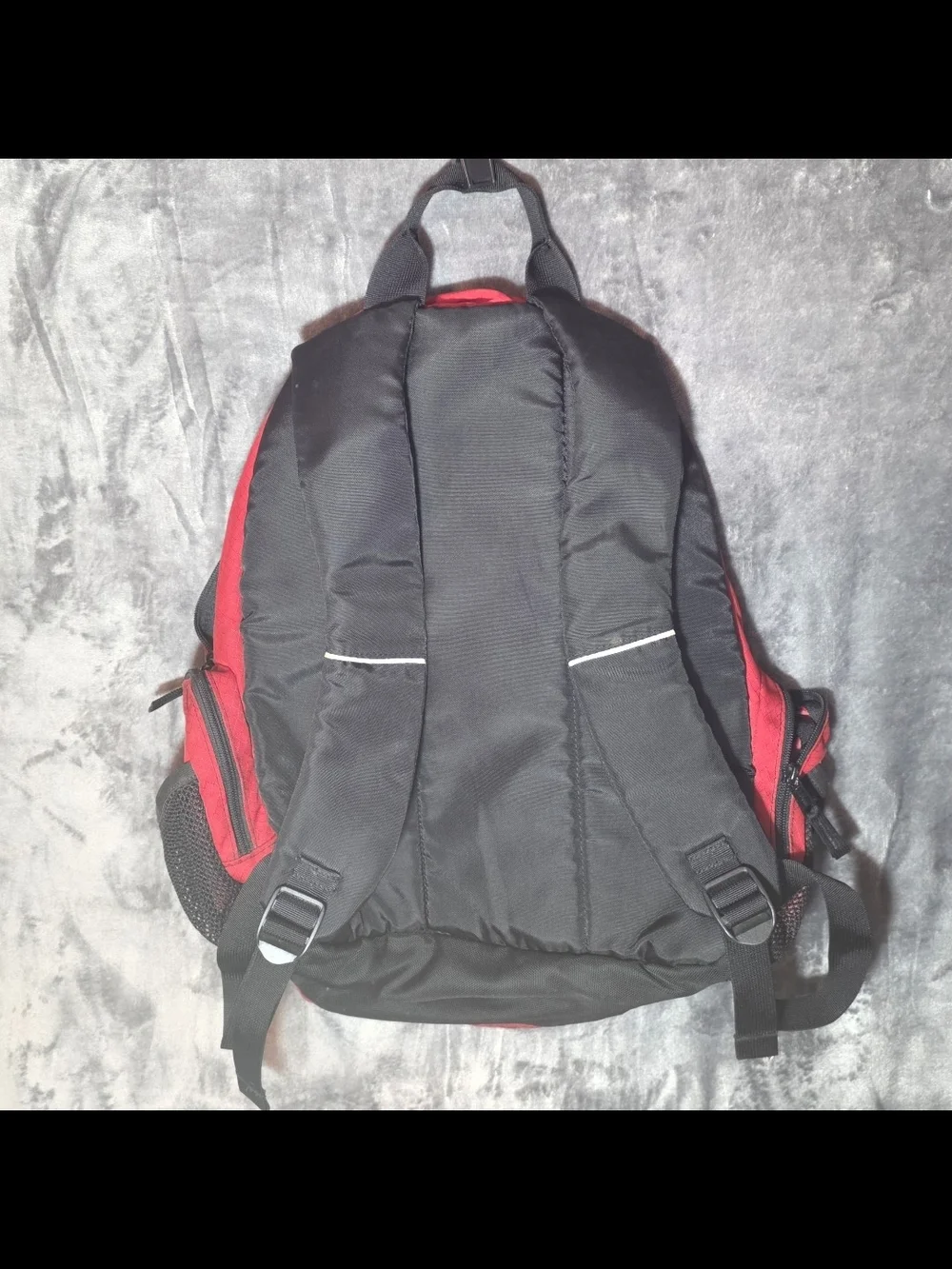 Vintage L.L. Bean Deluxe Red Backpack with White Snake Graphic
